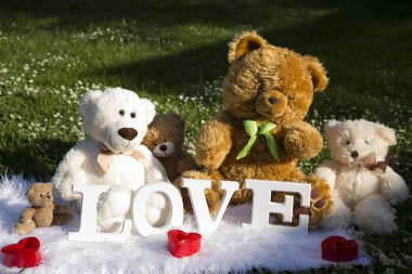 Bayram severler, çayır çiçek ve papatyalar, peluş ayılar için sevgi dolu