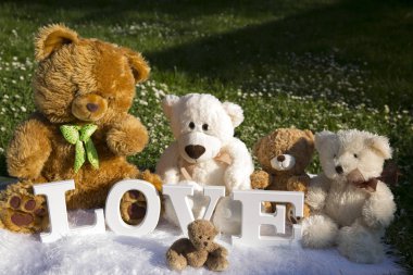 Bayram severler, çayır çiçek ve papatyalar, peluş ayılar için sevgi dolu