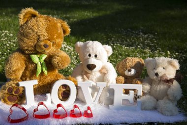 Bayram severler, çayır çiçek ve papatyalar, peluş ayılar için sevgi dolu