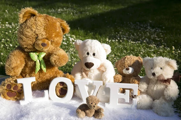 Svátek Milovníků Louce Plné Květin Sedmikrásky Plyšové Medvědy Lásku — Stock fotografie