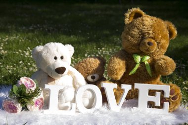 Bayram severler, çayır çiçek ve papatyalar, peluş ayılar için sevgi dolu