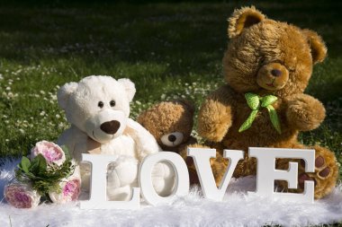 Bayram severler, çayır çiçek ve papatyalar, peluş ayılar için sevgi dolu