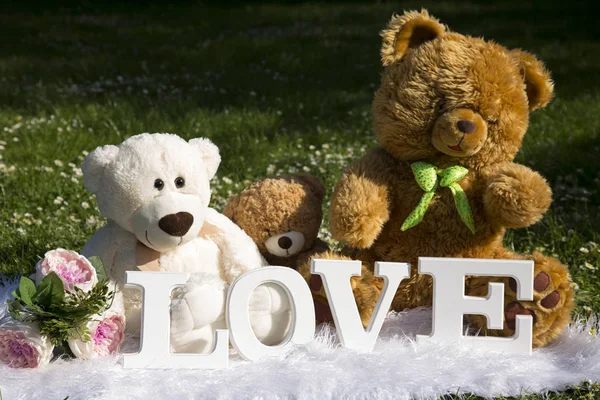 Festa Degli Innamorati Prato Pieno Fiori Margherite Peluche Orsi Amore — Foto Stock