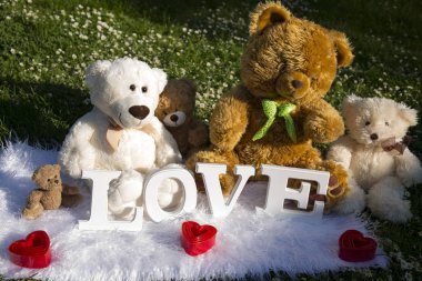 Bayram severler, çayır çiçek ve papatyalar, peluş ayılar için sevgi dolu