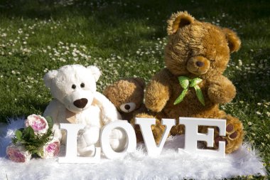 Bayram severler, çayır çiçek ve papatyalar, peluş ayılar için sevgi dolu