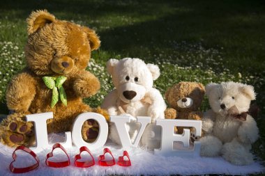 Bayram severler, çayır çiçek ve papatyalar, peluş ayılar için sevgi dolu