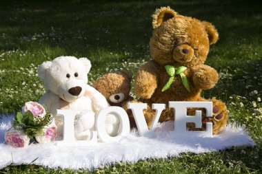 Bayram severler, çayır çiçek ve papatyalar, peluş ayılar için sevgi dolu