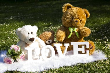 Bayram severler, çayır çiçek ve papatyalar, peluş ayılar için sevgi dolu