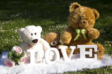 Bayram severler, çayır çiçek ve papatyalar, peluş ayılar için sevgi dolu