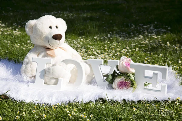 情侣的盛宴 充满鲜花和雏菊的草地 爱的毛绒熊 — 图库照片