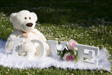 Bayram severler, çayır çiçek ve papatyalar, peluş ayılar için sevgi dolu