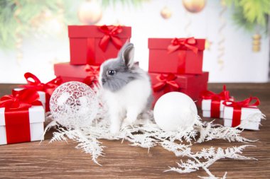 Noel dekorasyonu, Noel tavşan ve hediyeler, Noel Baba'nın kızağı ve reindeers, baubles ve Noel ağacı.