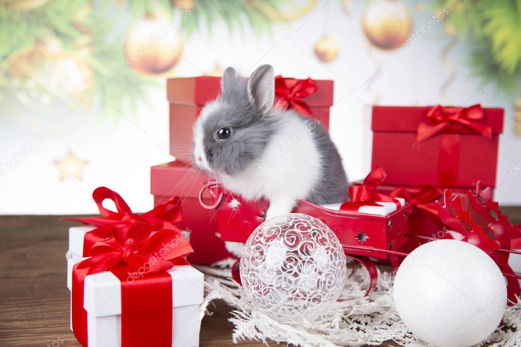 Christmas decoration, Christmas Rabbit and gifts, Santa's sleigh