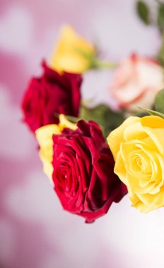 Sevgililer hediye için renkli gül buketi.