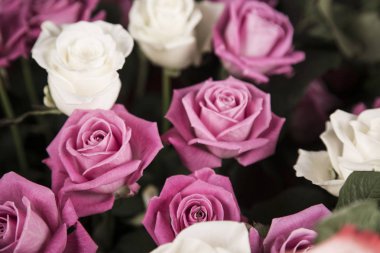 Sevgililer hediye için beyaz ve pembe gül buketi.