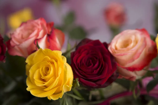 Ein Strauß Bunter Rosen Als Valentinstagsgeschenk — Stockfoto