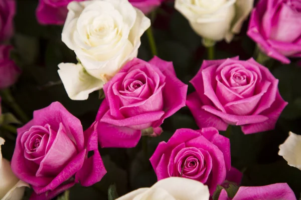 Ein Strauß Weißer Und Rosa Rosen Als Valentinstagsgeschenk — Stockfoto