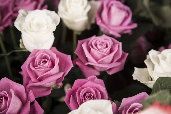 Sevgililer hediye için beyaz ve pembe gül buketi.