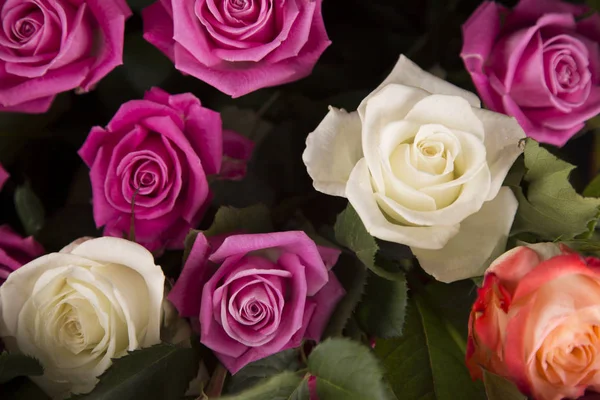 Ein Strauß Weißer Und Rosa Rosen Als Valentinstagsgeschenk — Stockfoto