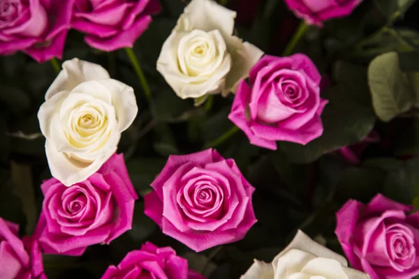 Sevgililer hediye için beyaz ve pembe gül buketi.