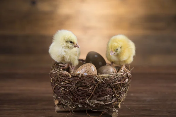 Easter chickens and basket