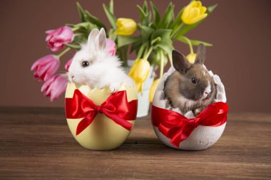 Yumurta kabuğu Paskalya tavşan. Renkli laleler. Kırmızı yay