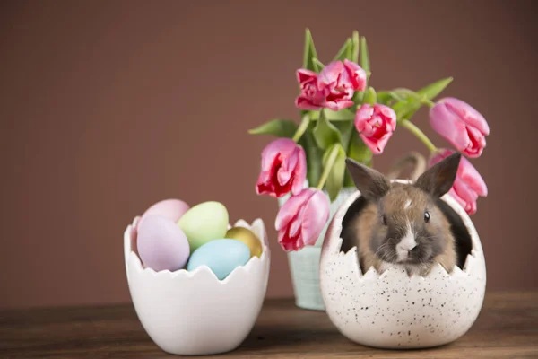 Easter Rabbit Pink Tulips — Stock Photo, Image