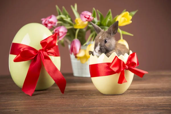 Easter Rabbit Eggshell Colorful Tulips Red Bow — Stock Photo, Image