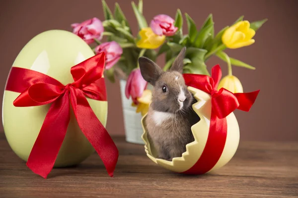 Easter Rabbit Eggshell Colorful Tulips Red Bow — Stock Photo, Image