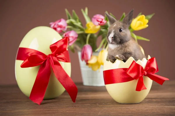 Easter Rabbit Eggshell Colorful Tulips Red Bow — Stock Photo, Image