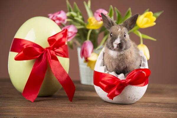 Easter Rabbit Eggshell Colorful Tulips Red Bow — Stock Photo, Image