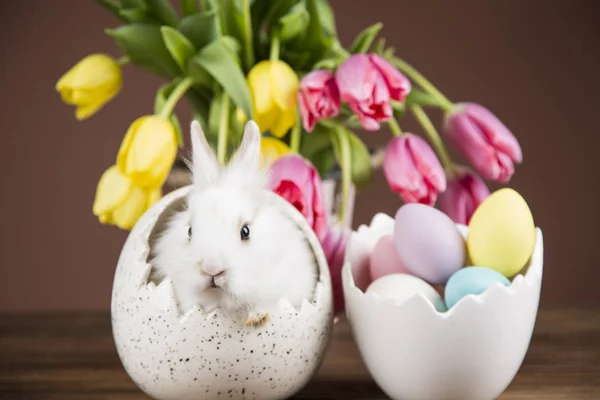 Easter Rabbit Shell Eggs Colorful Tulips — Stock Photo, Image