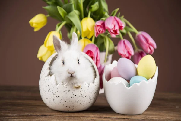 Easter Rabbit Shell Eggs Colorful Tulips — Stock Photo, Image