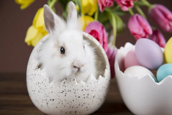 Easter Rabbit Shell Eggs Colorful Tulips — Stock Photo, Image