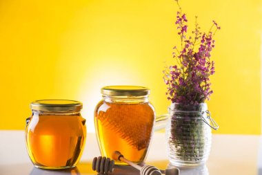 Ahşap zemin üzerine bal ayı kavanoza tatlım