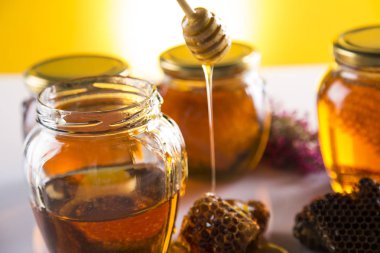 Ahşap zemin üzerine bal ayı kavanoza tatlım