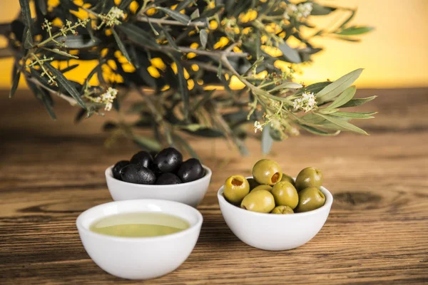 Olive oil, olive tree and green and black olives on a wooden tab