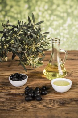 Olive oil and olive tree and black olives and bottles with olive clipart