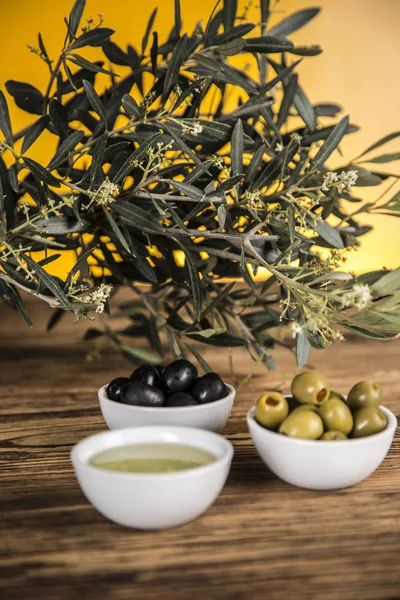 Aceite de oliva, olivo y aceitunas verdes y negras en una lengüeta de madera — Foto de Stock