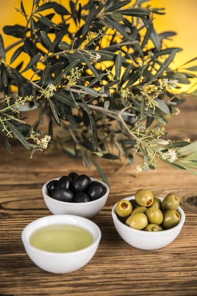 Aceite de oliva, olivo y aceitunas verdes y negras en una lengüeta de madera — Foto de Stock