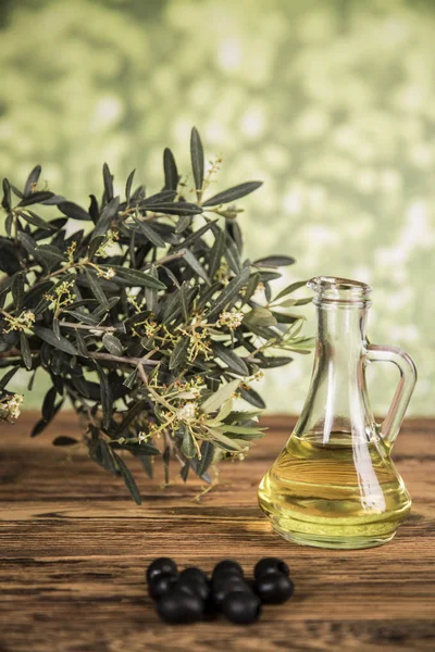 Oliwa z oliwek, drzewo oliwne i czarne oliwki oraz butelki z oliwek — Zdjęcie stockowe