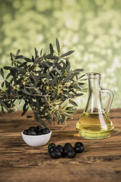 Aceite de oliva y olivo y aceitunas negras y botellas con aceituna — Foto de Stock