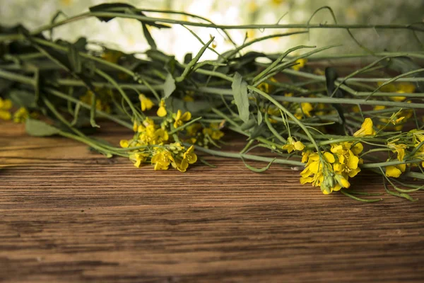 Rapeseed flowers and rapeseed oil in a bottle on the table