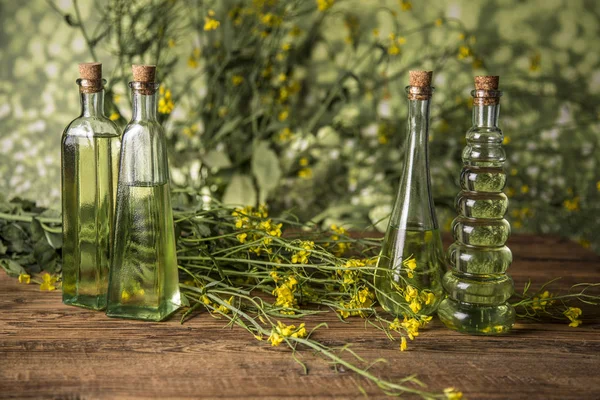 Fiori di colza e olio di colza in una bottiglia sul tavolo — Foto Stock