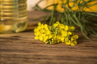 Masadaki şişede kolza tohumu çiçeği ve yağ var.