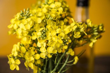 Masadaki şişede kolza tohumu çiçeği ve yağ var.