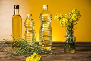 Kolza yağı ile şişe ve carafes tohum ve tecavüz çiçekleri