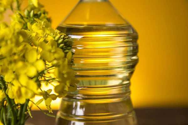 Rapeseed flowers and rapeseed oil in a bottle on the table — Stock Photo, Image