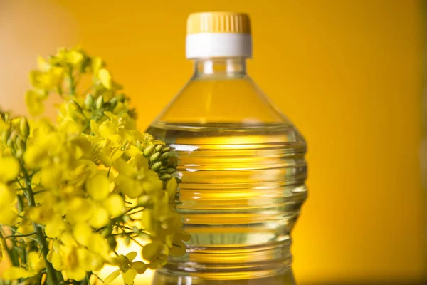 Rapeseed flowers and rapeseed oil in a bottle on the table