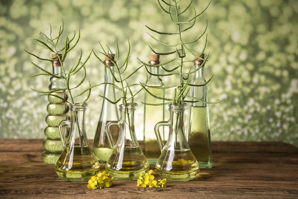 Семена и цветы рапса в бутылках и графинах с рапсовым маслом — стоковое фото